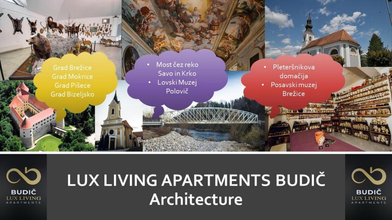 Lux Living Apartments Budic Near Terme Catez Brežice 外观 照片